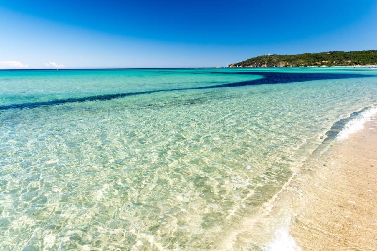 Le Terra-Cota 3 Ch Privees 10' Gare-Port Et Plage, Wfi, Cosy Τουλόν Εξωτερικό φωτογραφία